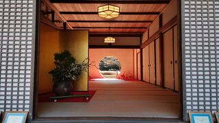 とても綺麗でした