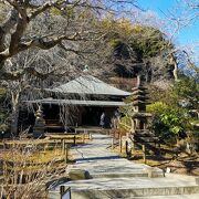 派手さはないですが落ち着くお寺