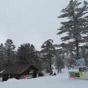 初心者にも優しいスキー場