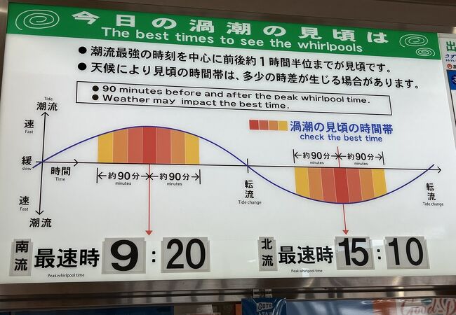 大型観潮船わんだーなると クチコミ アクセス 営業時間 鳴門 フォートラベル