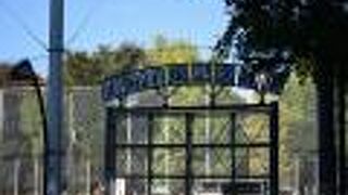 上野公園の中にある野球場