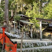 日本で唯一、髪の神様