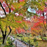 紅葉のグラデーションが見事