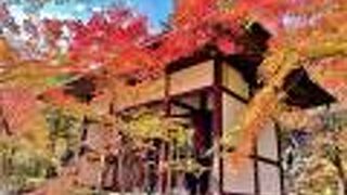 美しい紅葉風景