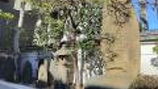 久々に訪れましたがとても立派なまま！