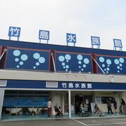 蒲郡のこじんまりとした水族館