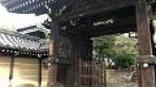 ザクロの実がたくさん