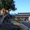屋久島空港の前にある天然温泉が売りの宿です。