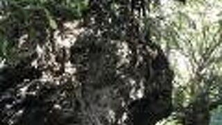 海岸だけじゃない