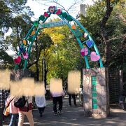 入園無料！