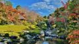 美しい紅葉風景