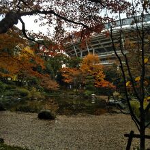 横浜スタジアム