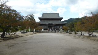 見上げる大きさ