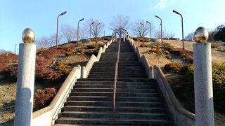 東俣野中央公園