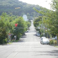 緑深く、広く長い坂道