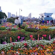 思い思いの休日