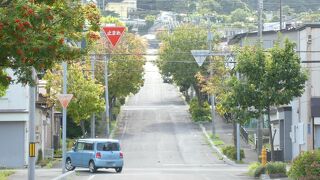 街路樹がきれい