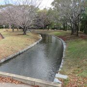 スポーツ公園です