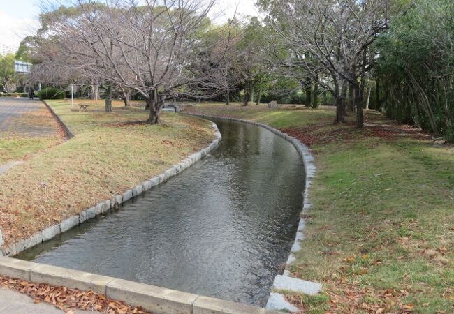 スポーツ公園です