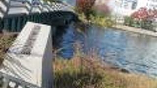 本川に架かる橋です