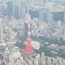 機内からも一目でわかる姿です