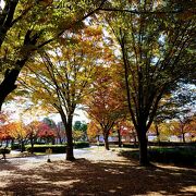 長野市中心部にある大きな都市公園