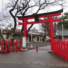 冷たい雨の中、鳥居の赤が一層鮮やかでした。