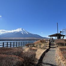 公園からの富士山の眺め