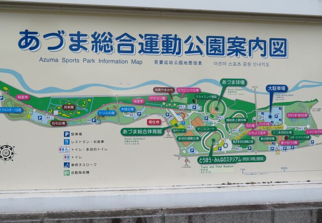 福島市郊外の運動公園