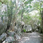 沖縄本島北部の観光スポット