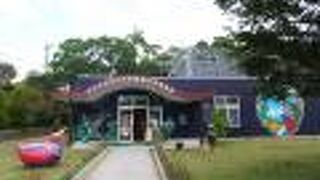 ヤンバルクイナを見ることができる