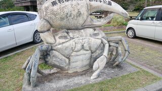 マングローブ林