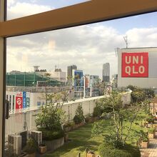 緑化された屋上広場