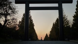 夕焼けと紅葉したイチョウが印象に残りました