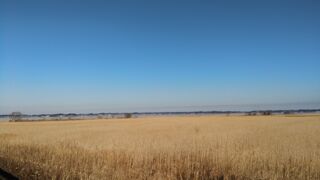 野鳥観察で人気