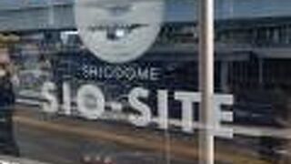 新橋駅東側の汐留地区に建設された巨大複合都市の総称