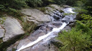 美しい渓流と何百種類の苔に覆われた幻想的な緑の森は、濃厚な生命の気配が漂い、太古の世界へ誘います。