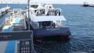 無人島へのアプローチ航路 （猿島フェリー） 