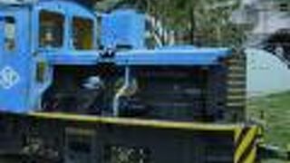 まれたあまり手入れされていない小さな公園