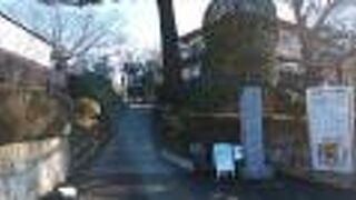 新河岸川の近くにある寺院