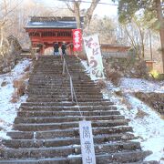 湧水と地粉で打たれた手打ち蕎麦は900円