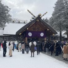 北海道神宮で初詣