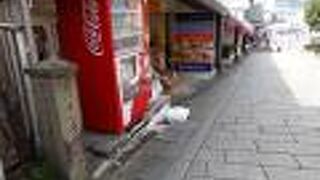 少し離れたところに新しい碑も