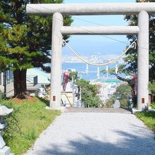 山上大神宮の鳥居越しに坂から港を見下ろす構図