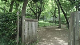 自然がいっぱいで、見どころもたくさん