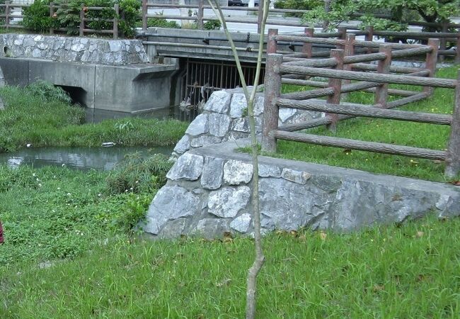 地元の人が子供ずれで遊ぶようなところ