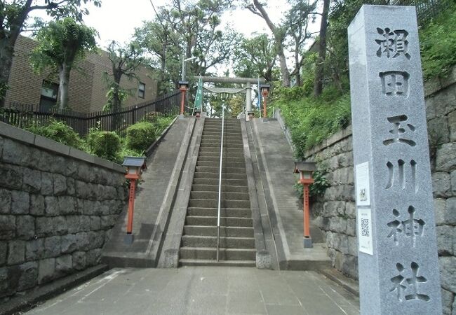 国分寺崖線の丘の上に鎮座、眺望の良い神社