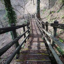 一番手前の、川沿いまで降りる道は荒れてて怖い…