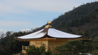 うっすら雪化粧してました♪