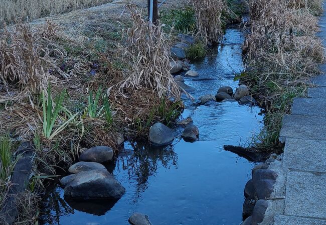 舞岡ふるさとの森